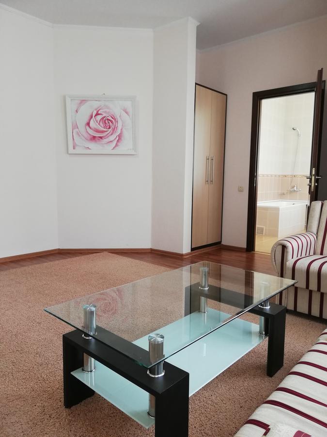 Grace Villa Codru エクステリア 写真
